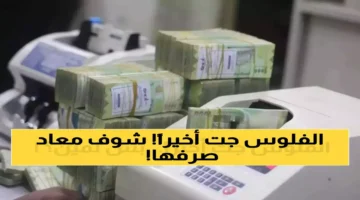 وزارة المالية تبدأ صرف مرتبات أكتوبر 2025 وجدول متكامل لتسوية المتأخرات غداً 1